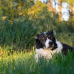 468814202_10162399631062287_2734031354023913844_n