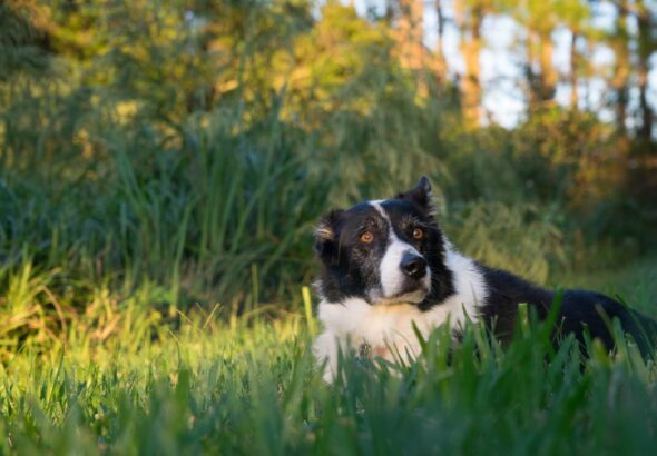 468814202_10162399631062287_2734031354023913844_n