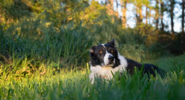 468814202_10162399631062287_2734031354023913844_n